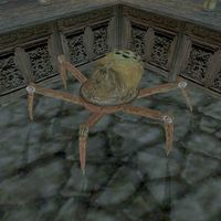 MW-creature-Spider Centurion.jpg