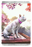 ON-card-Milady's Cloud Cat.png
