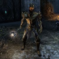 Online:Meridian Guardian - The Unofficial Elder Scrolls Pages (UESP)