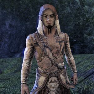 Lore:Spinners - The Unofficial Elder Scrolls Pages (UESP)