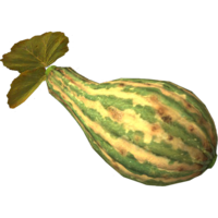 SR-icon-food-Gourd.png