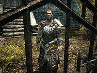 Maven Black-Briar Replacer CBBE_CBBE 3BA_BHUNP or Default body ESP-FE at  Skyrim Special Edition Nexus - Mods and Community