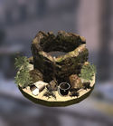 Old Well