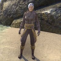 Oblivion Explorer Garb (female)