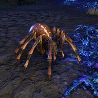 ON-creature-Tenmar Mountain Spider.jpg