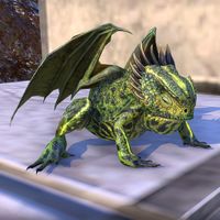 ON-pet-Viridescent Dragon Frog.jpg