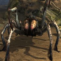 BL-creature-Mammoth Spider.jpg