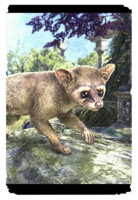 ON-card-Alinor Ringtail.png