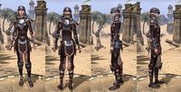ON-item-armor-Breton Medium 4 Female.jpg