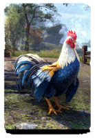 ON-card-Alcaire Blue Cockeral.png