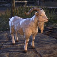 ON-creature-Goat (white).jpg