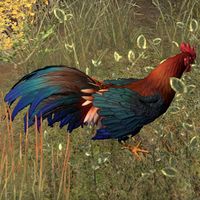 ON-creature-Rooster.jpg