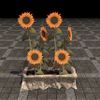 ON-furnishing-Druidic Planter, Sunflowers.jpg