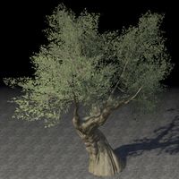 ON-furnishing-Tree, Strong Olive.jpg