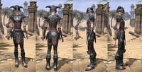 ON-item-armor-Nord Heavy 2 Female.jpg