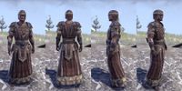ON-item-armor-Nord Light Robe 3 Male.jpg