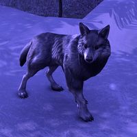 ON-creature-Aspect of the Wolf.jpg