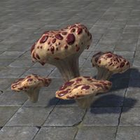 ON-furnishing-Toadstool, Bloodtooth Cluster.jpg