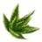 ON-icon-misc-Aloe.png