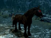 Cavalo, The Elder Scrolls Wiki