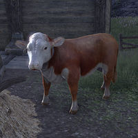 ON-creature-Cow.jpg