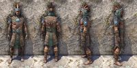 ON-item-armor-Elder Argonian Medium Male.jpg